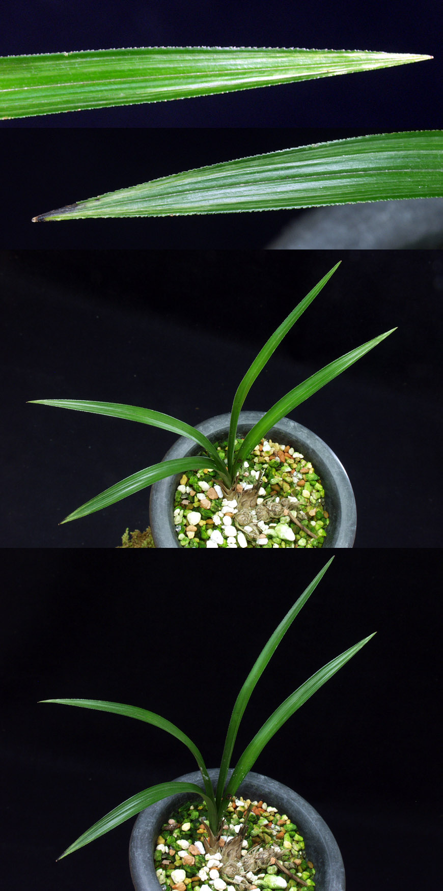 ������ ū������ �� �� �ֽ��ϴ�.