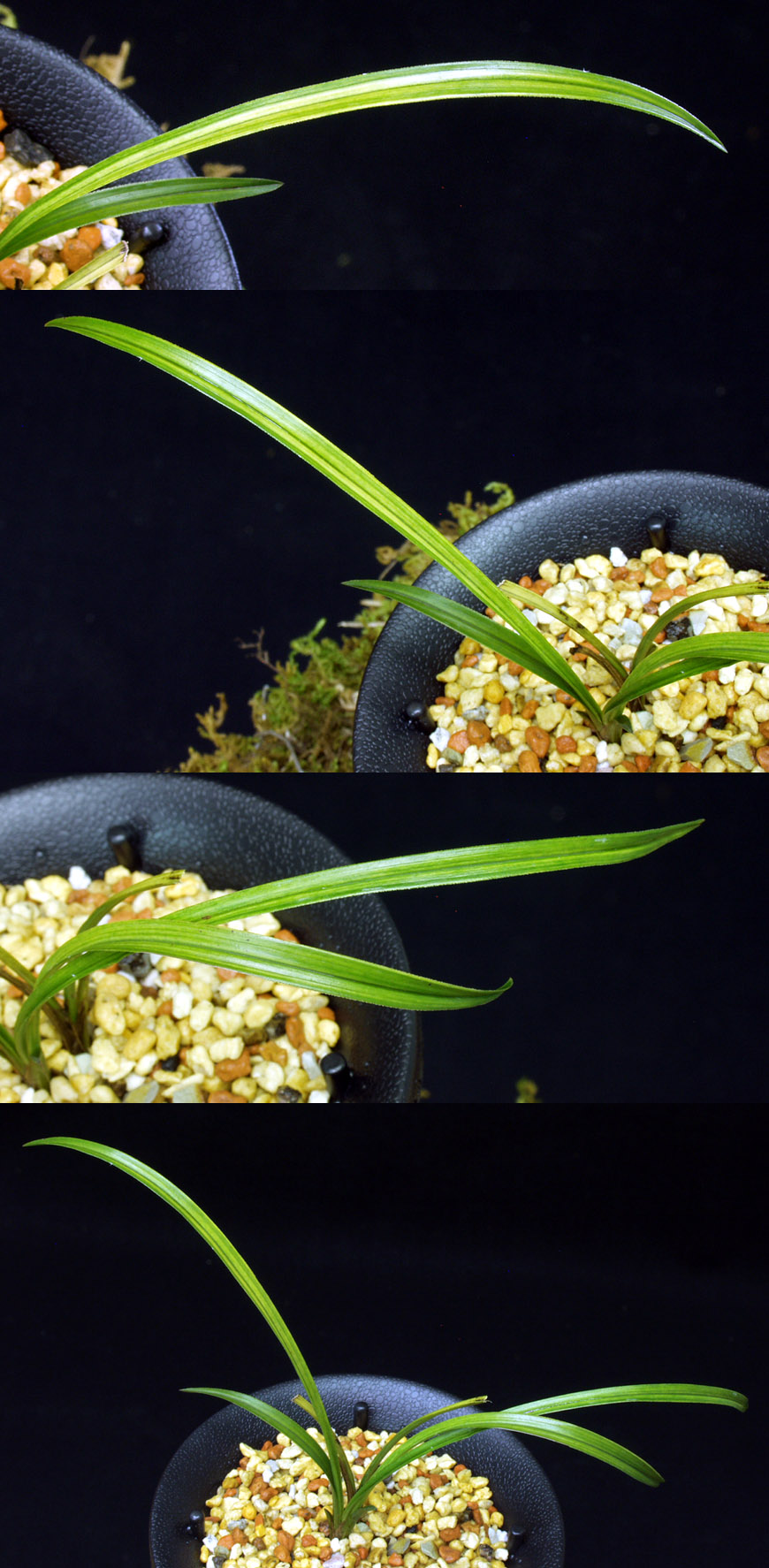 ������ ū������ �� �� �ֽ��ϴ�.