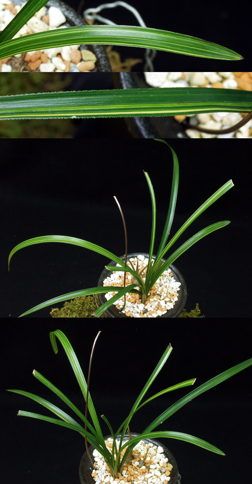 ������ ū������ �� �� �ֽ��ϴ�.