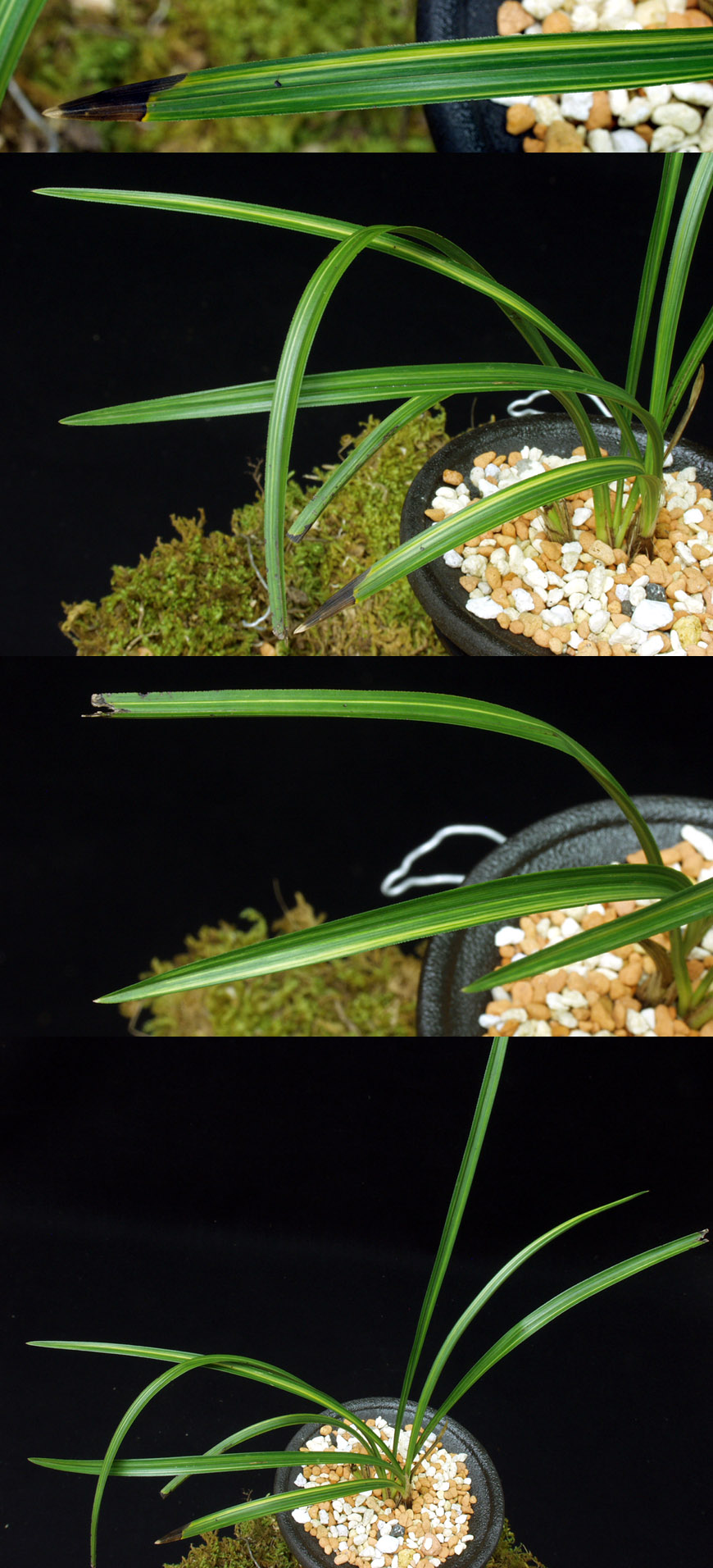 ������ ū������ �� �� �ֽ��ϴ�.