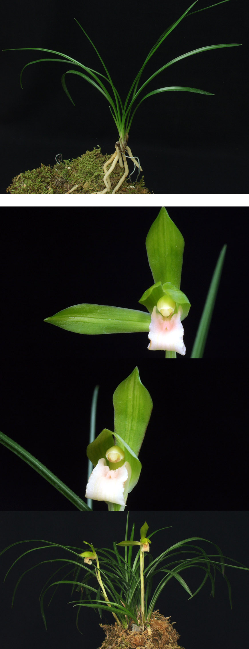 ������ ū������ �� �� �ֽ��ϴ�.