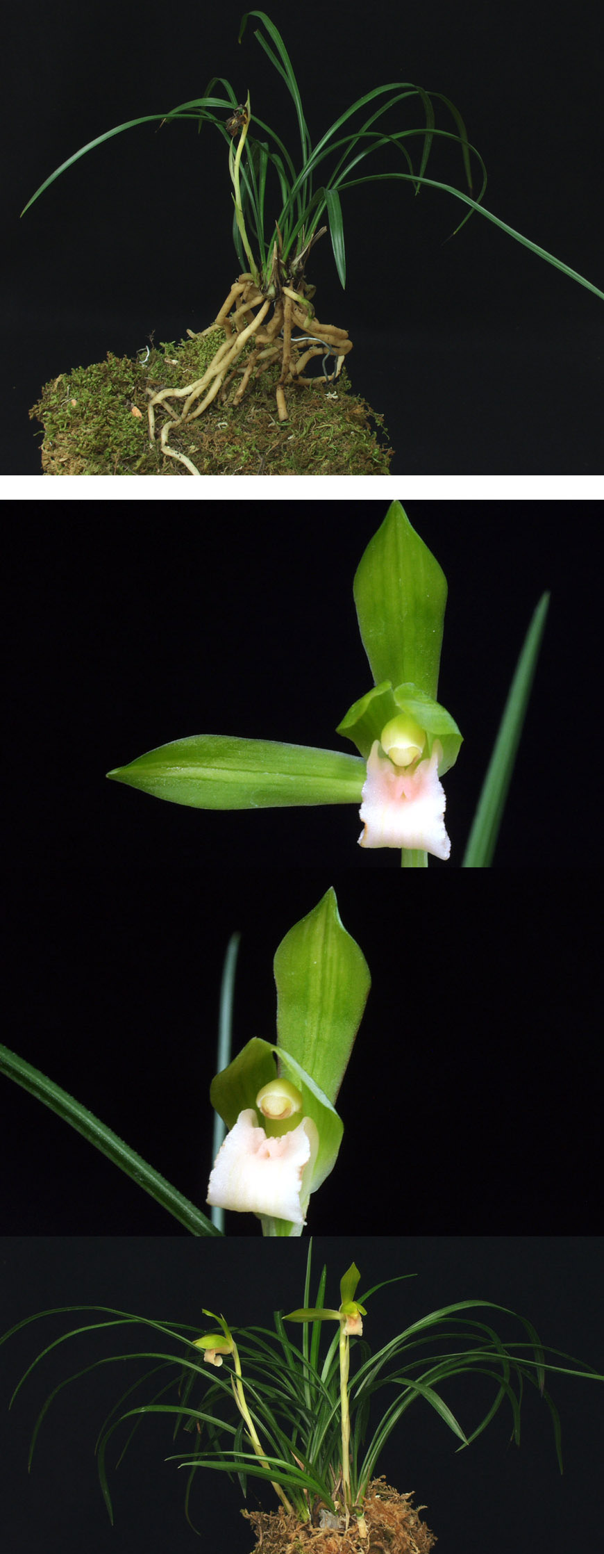 ������ ū������ �� �� �ֽ��ϴ�.