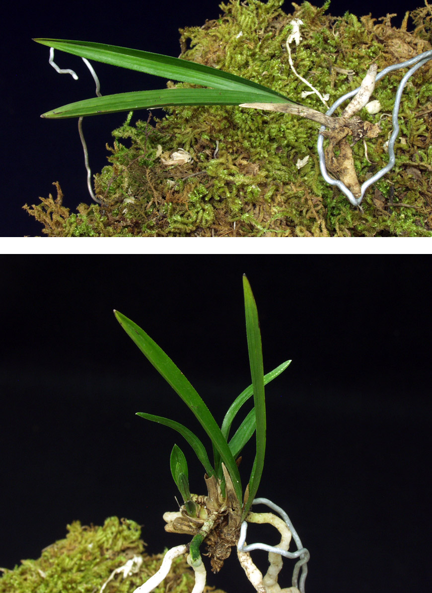 ������ ū������ �� �� �ֽ��ϴ�.