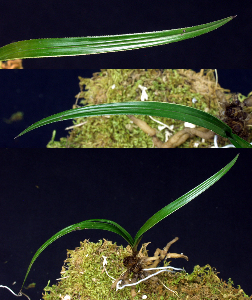 ������ ū������ �� �� �ֽ��ϴ�.