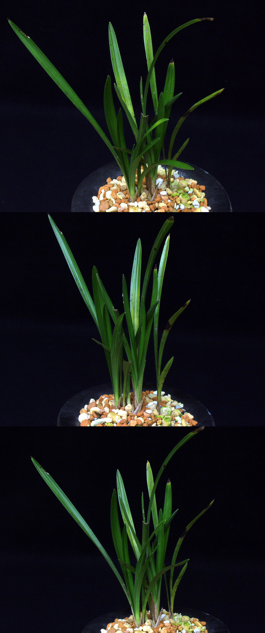 ������ ū������ �� �� �ֽ��ϴ�.