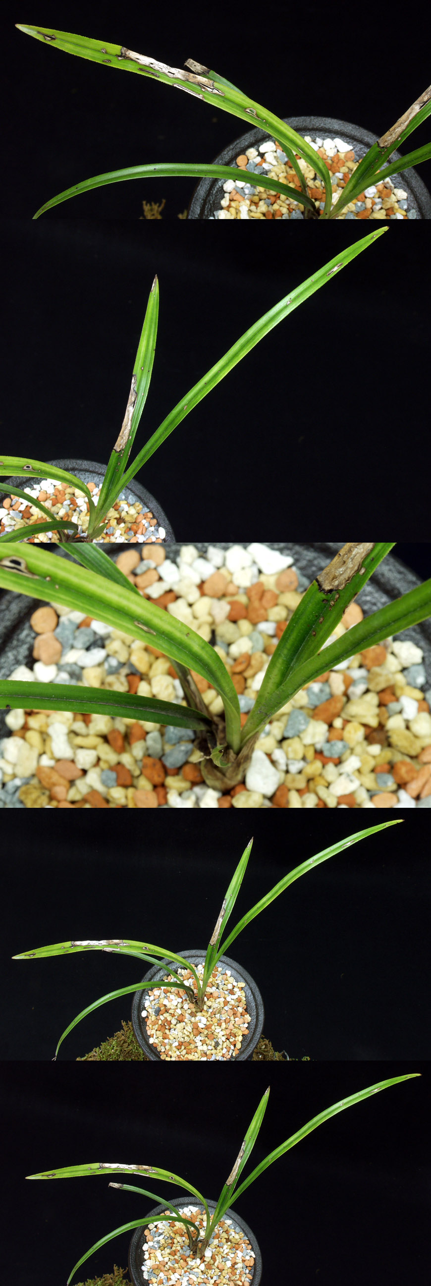 ������ ū������ �� �� �ֽ��ϴ�.