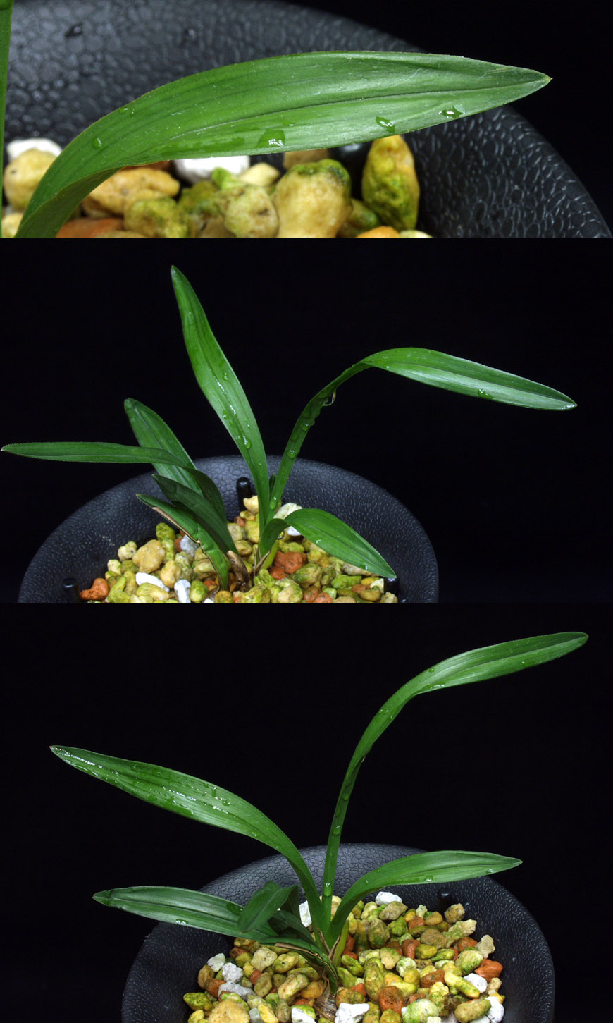 ������ ū������ �� �� �ֽ��ϴ�.