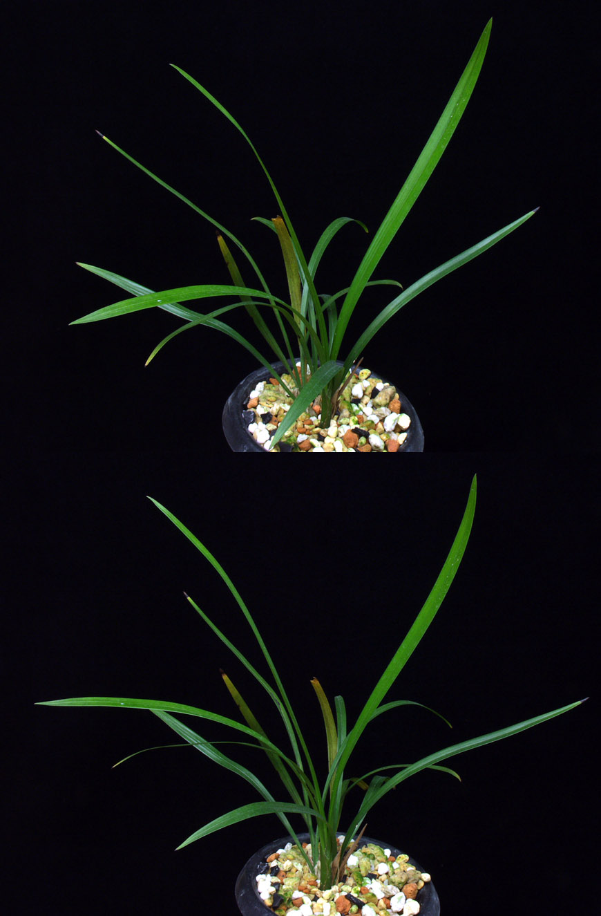 ������ ū������ �� �� �ֽ��ϴ�.