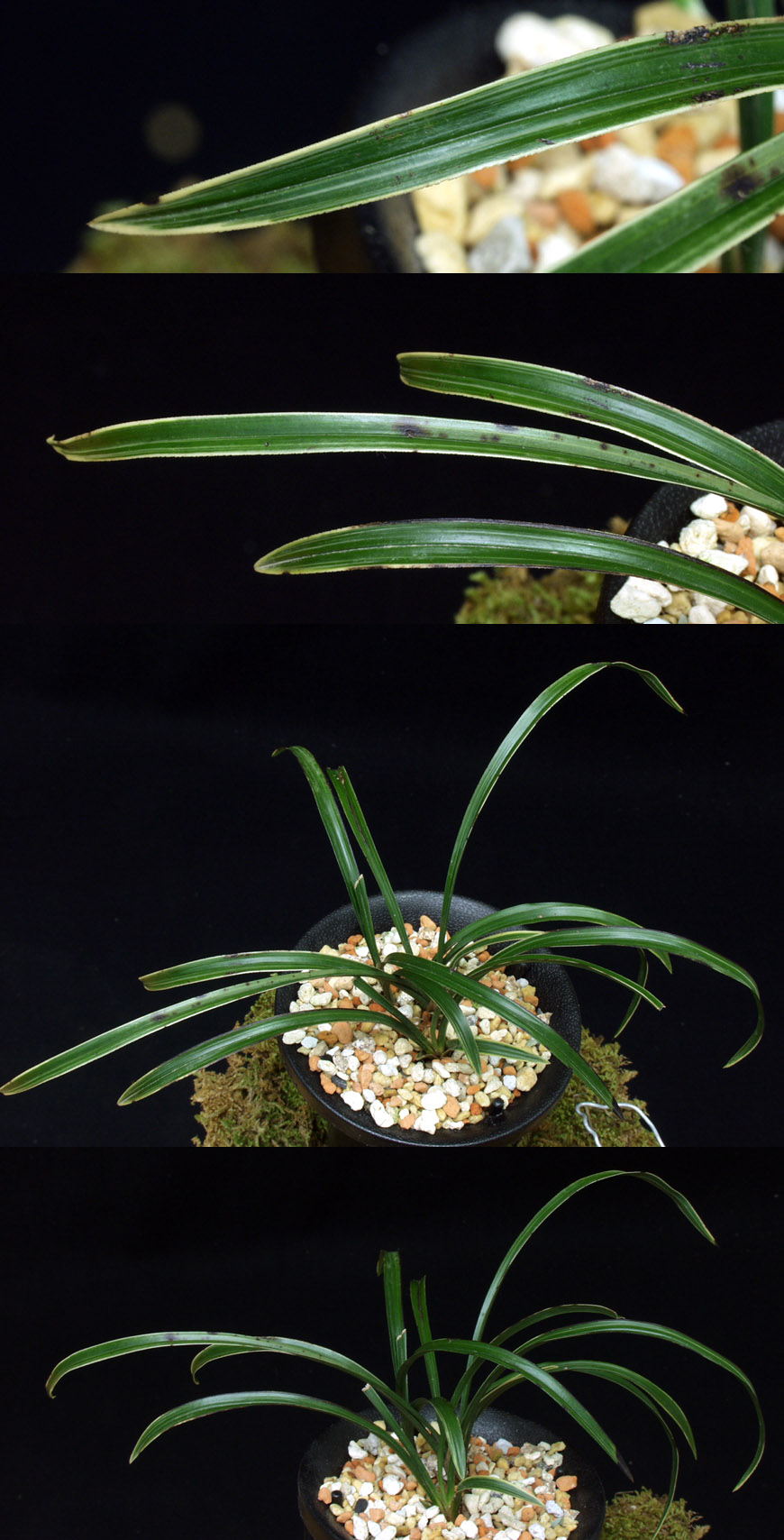 ������ ū������ �� �� �ֽ��ϴ�.