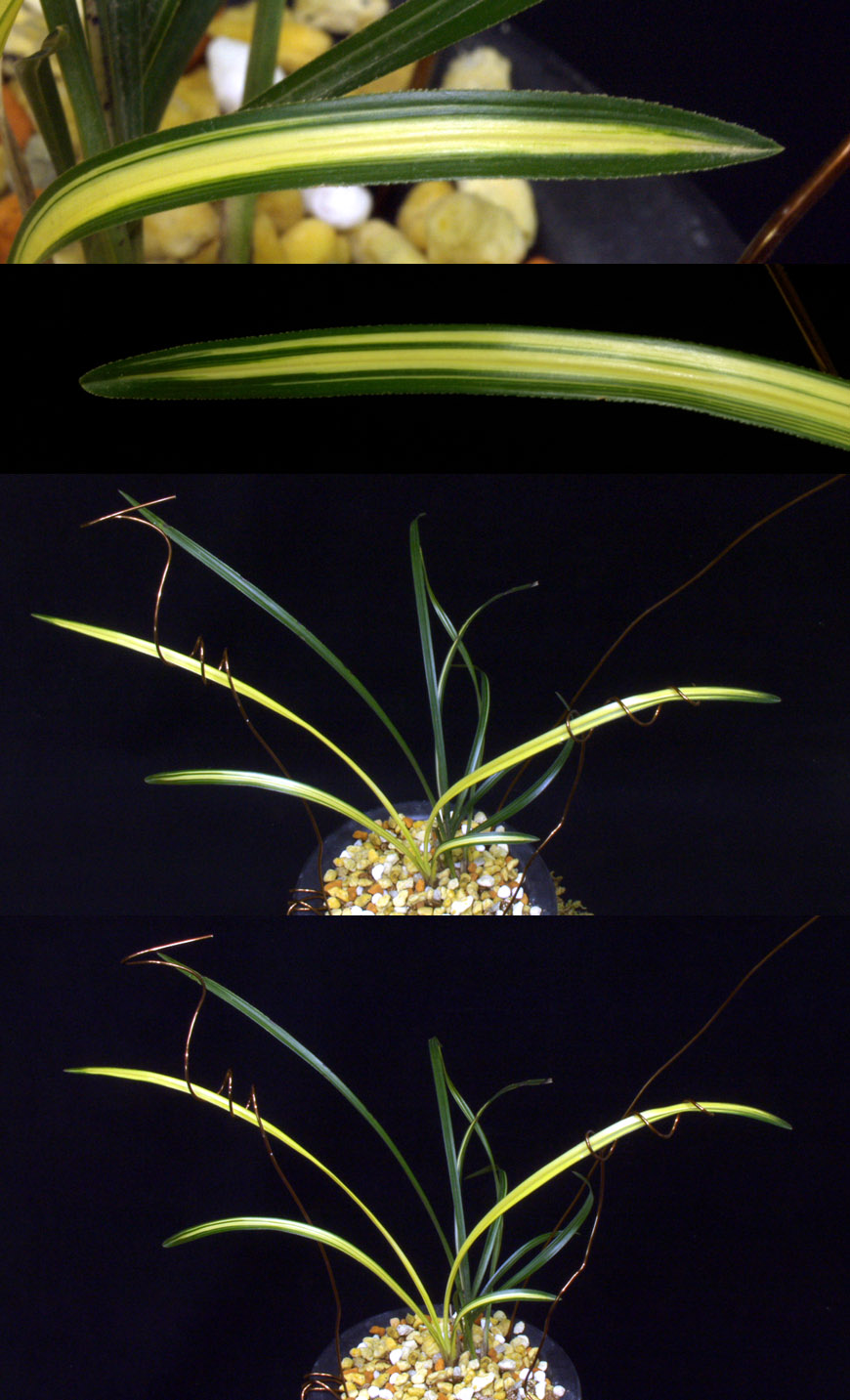 ������ ū������ �� �� �ֽ��ϴ�.