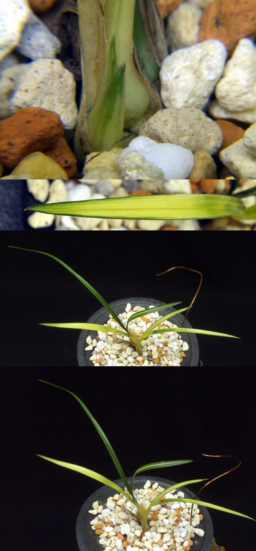 ������ ū������ �� �� �ֽ��ϴ�.