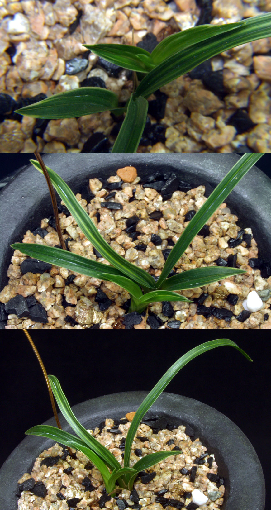 ������ ū������ �� �� �ֽ��ϴ�.