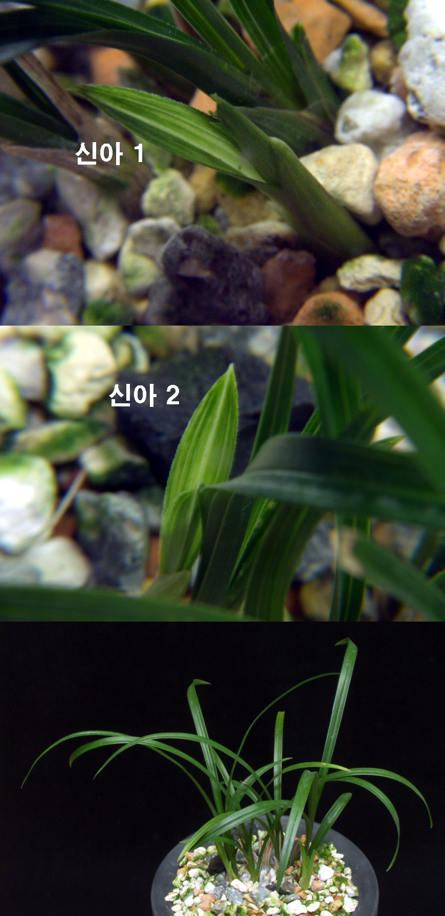 ������ ū������ �� �� �ֽ��ϴ�.