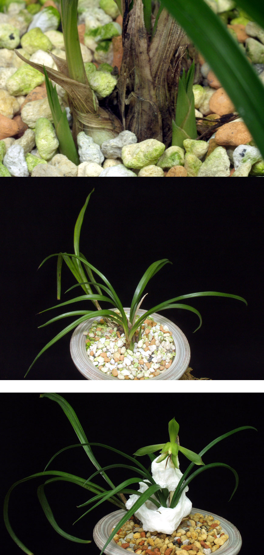 ������ ū������ �� �� �ֽ��ϴ�.