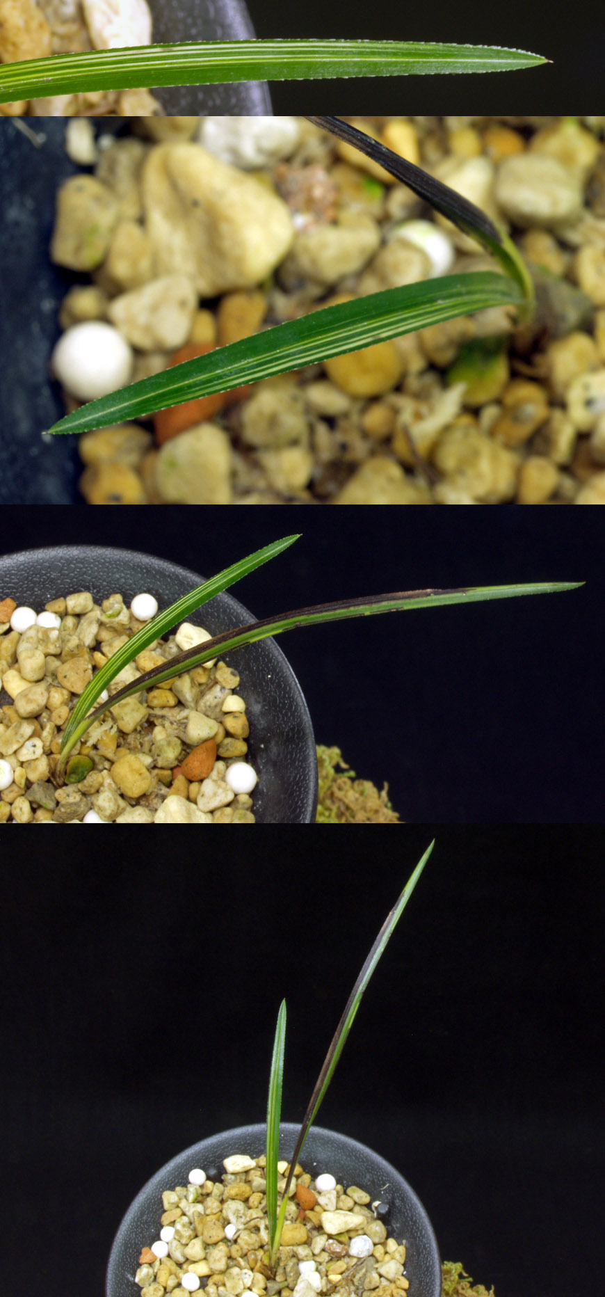 ������ ū������ �� �� �ֽ��ϴ�.