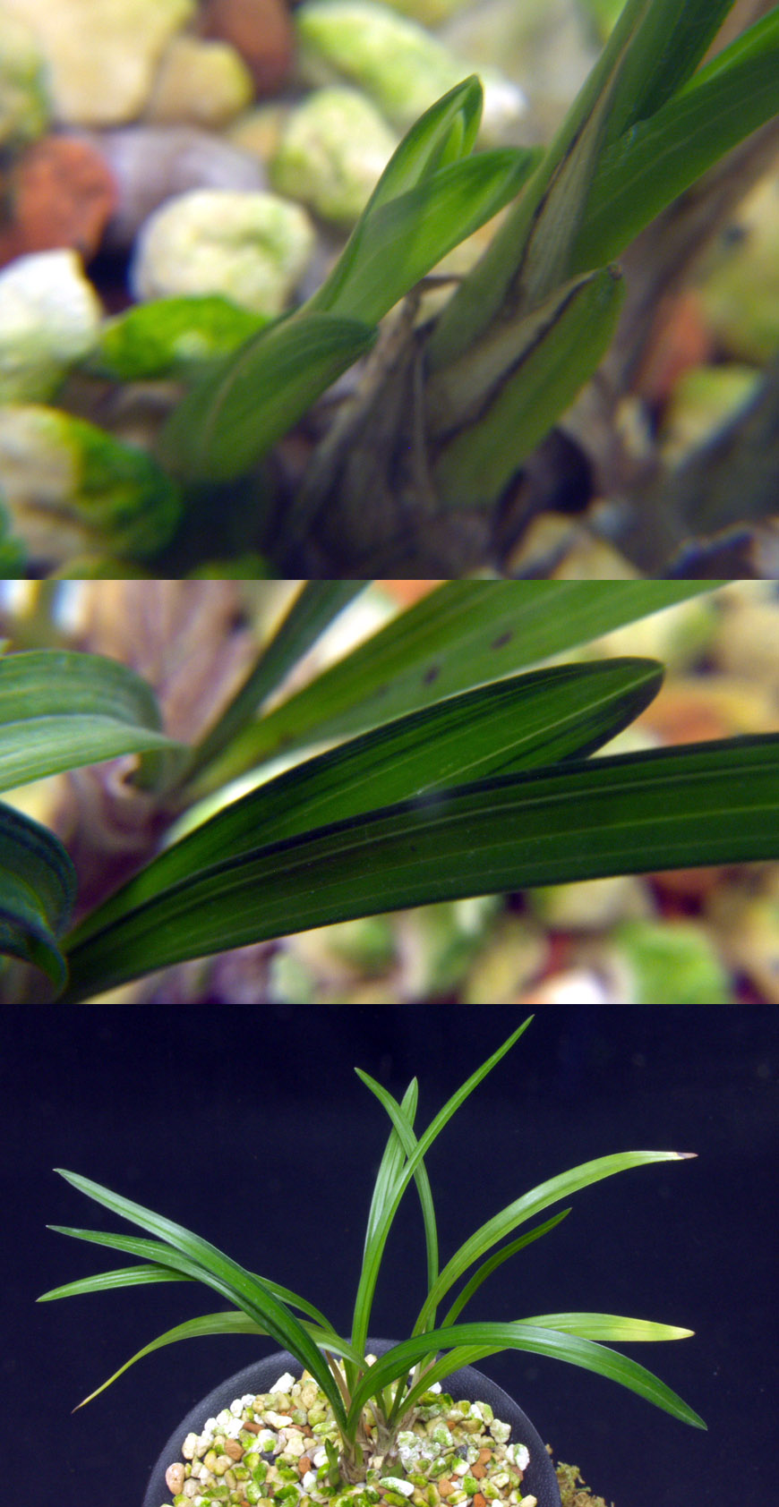 ������ ū������ �� �� �ֽ��ϴ�.