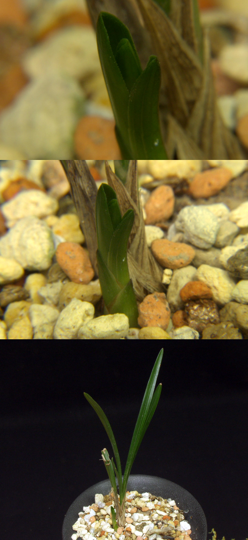 ������ ū������ �� �� �ֽ��ϴ�.