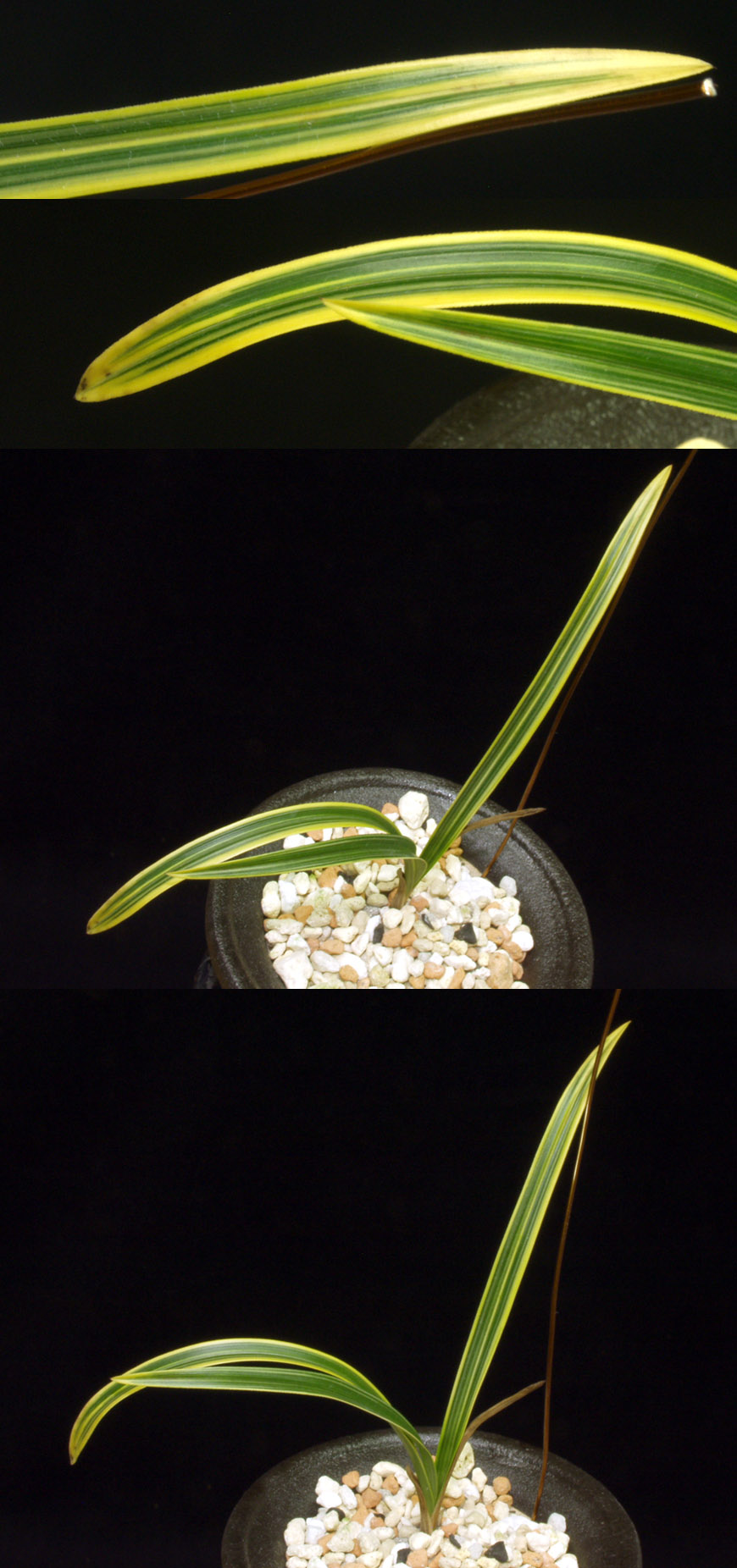 ������ ū������ �� �� �ֽ��ϴ�.