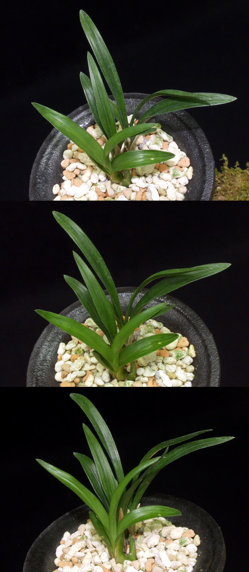 ������ ū������ �� �� �ֽ��ϴ�.