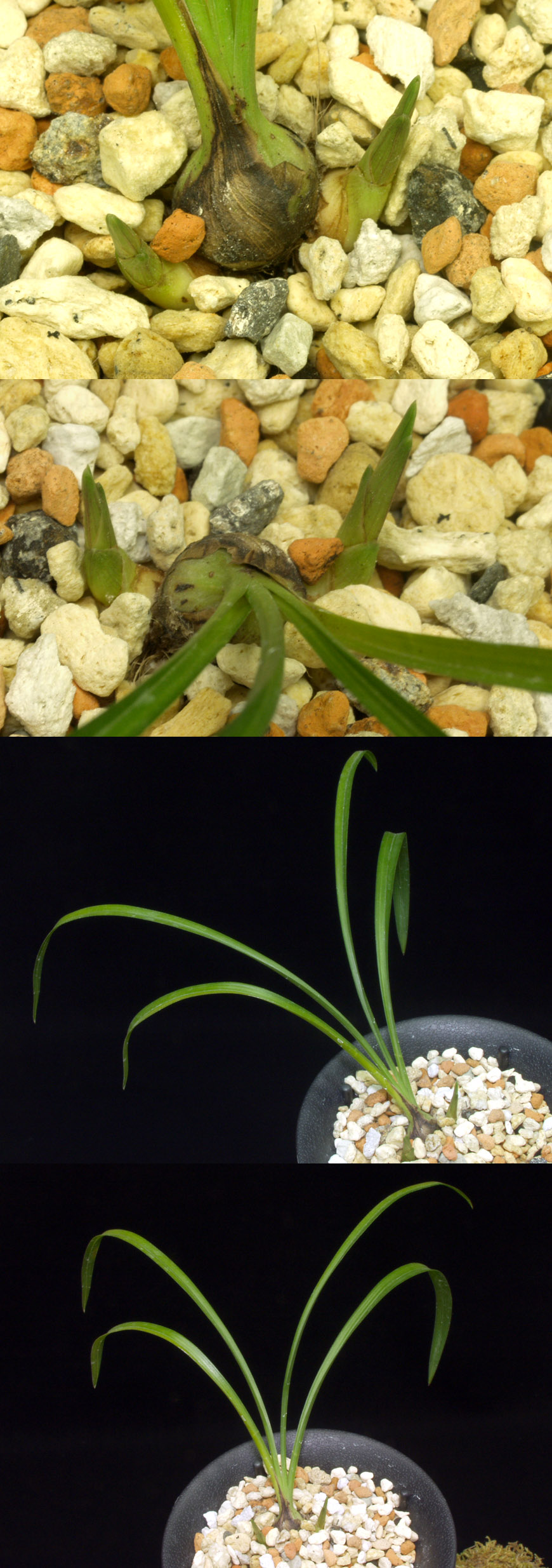 ������ ū������ �� �� �ֽ��ϴ�.