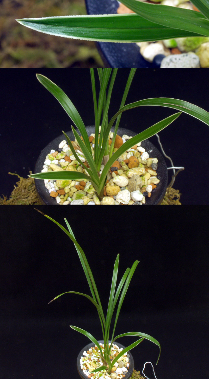 ������ ū������ �� �� �ֽ��ϴ�.