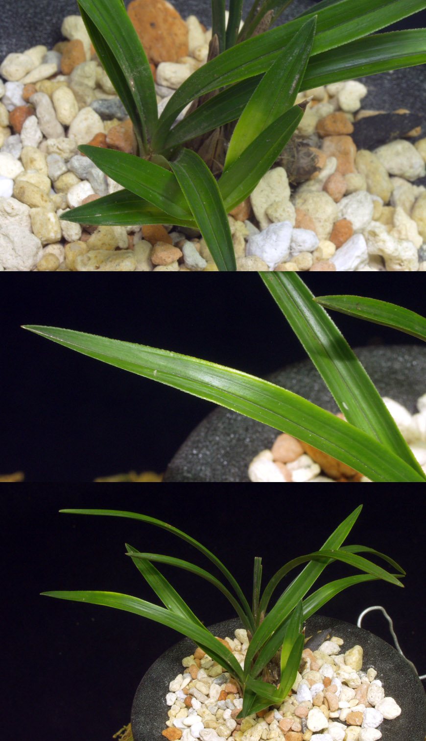 ������ ū������ �� �� �ֽ��ϴ�.