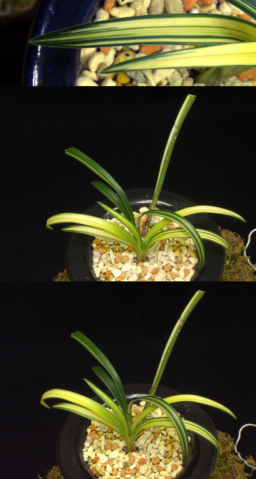 ������ ū������ �� �� �ֽ��ϴ�.