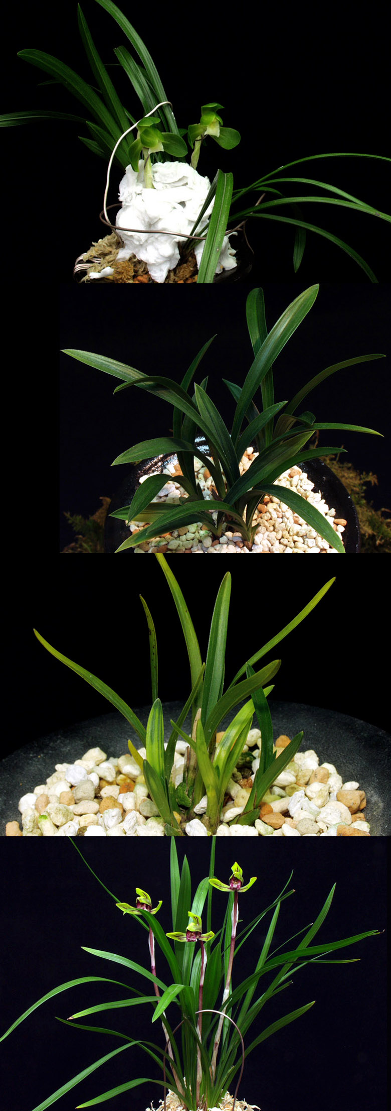 ������ ū������ �� �� �ֽ��ϴ�.