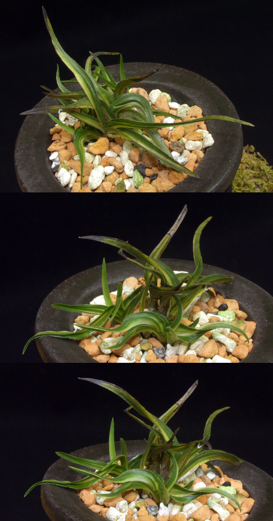 ������ ū������ �� �� �ֽ��ϴ�.