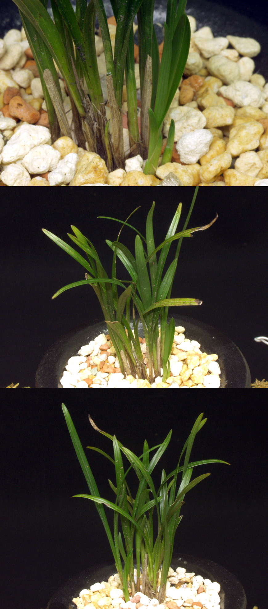 ������ ū������ �� �� �ֽ��ϴ�.