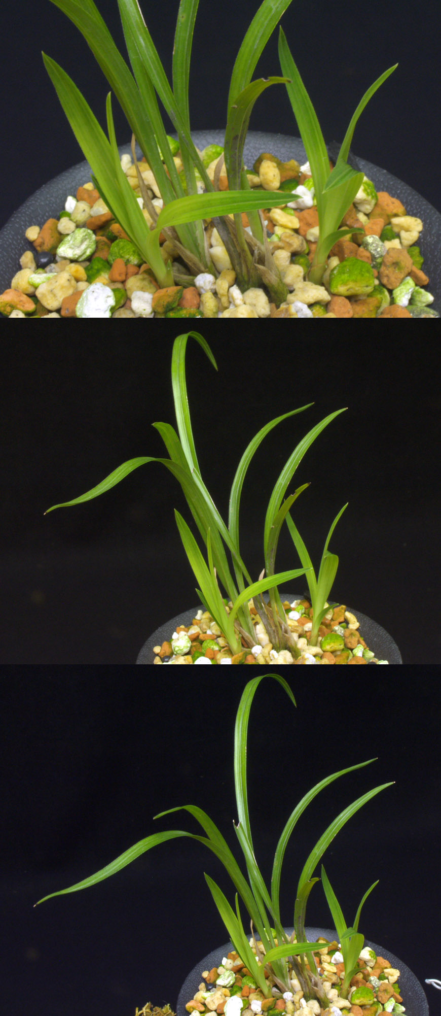 ������ ū������ �� �� �ֽ��ϴ�.