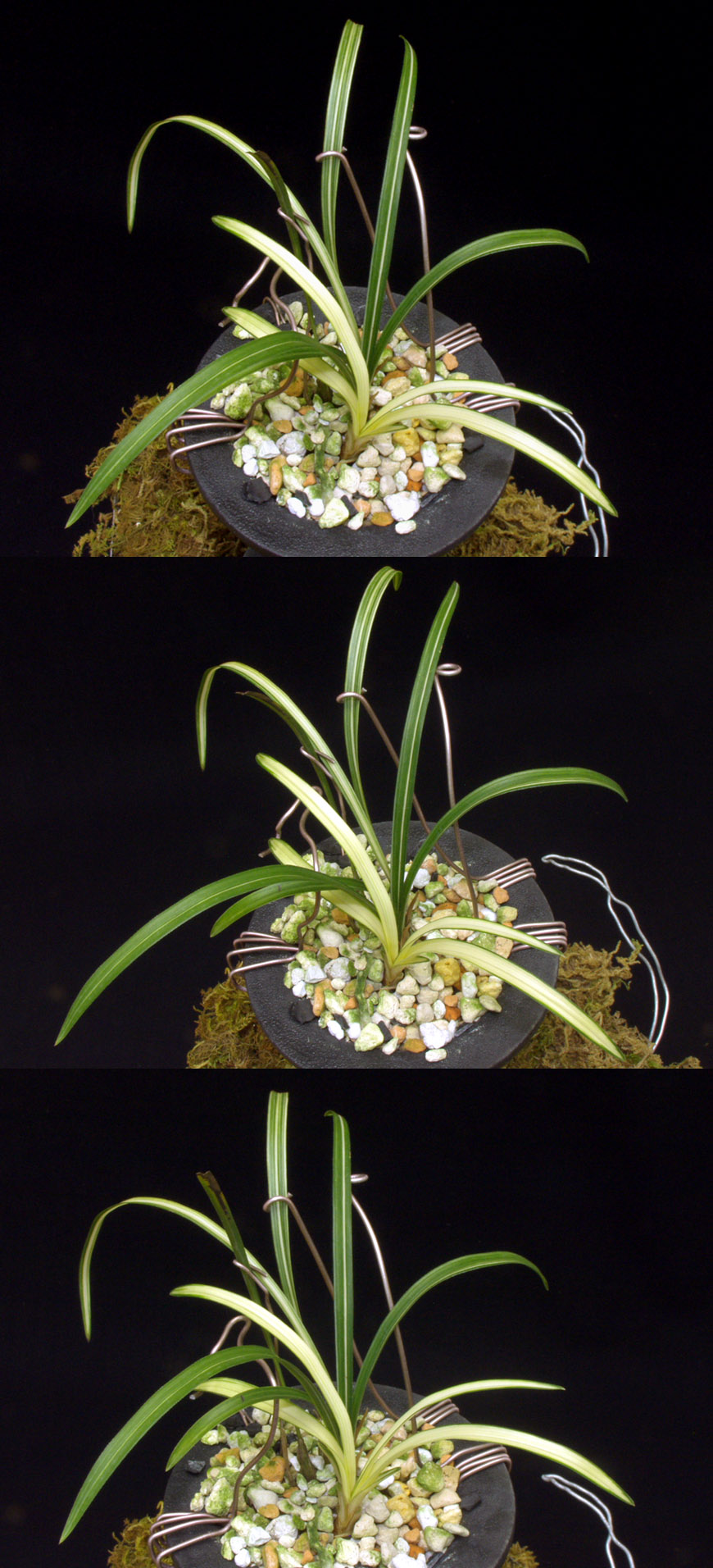 ������ ū������ �� �� �ֽ��ϴ�.