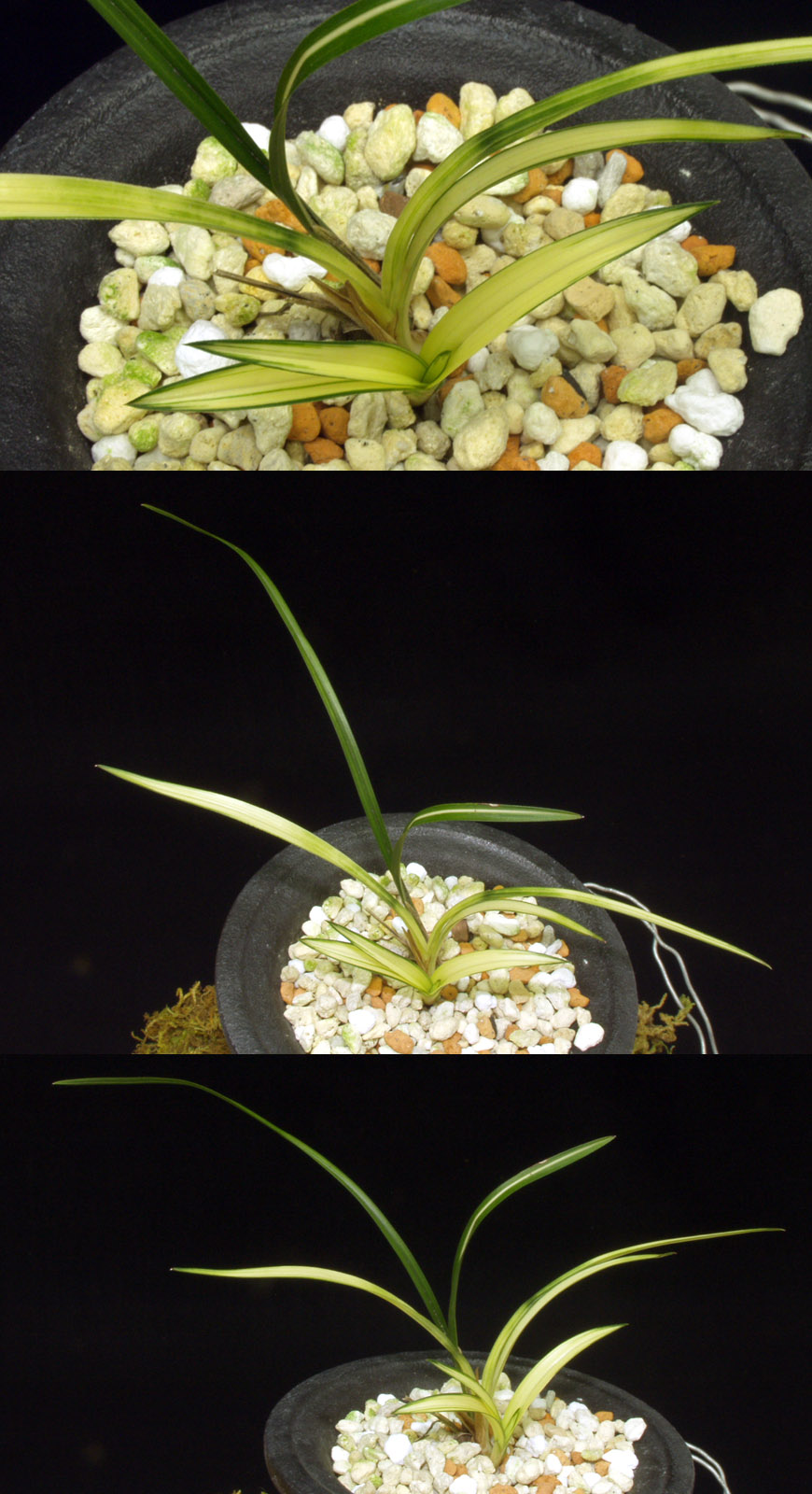 ������ ū������ �� �� �ֽ��ϴ�.