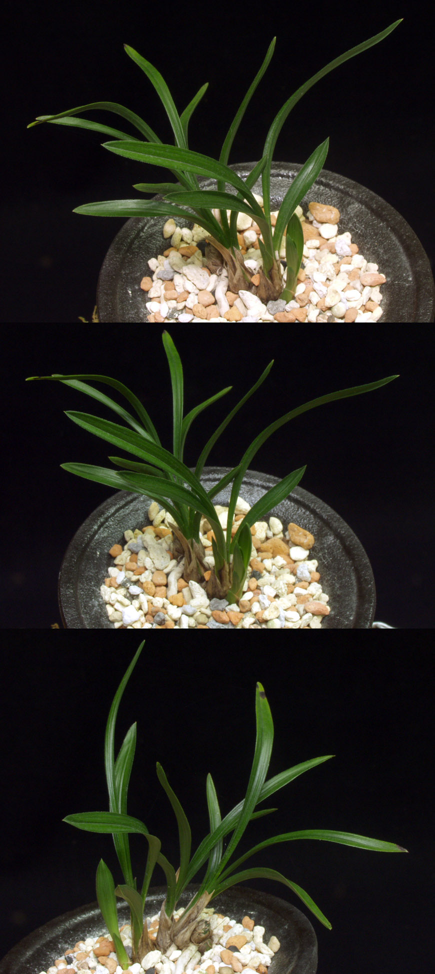 ������ ū������ �� �� �ֽ��ϴ�.