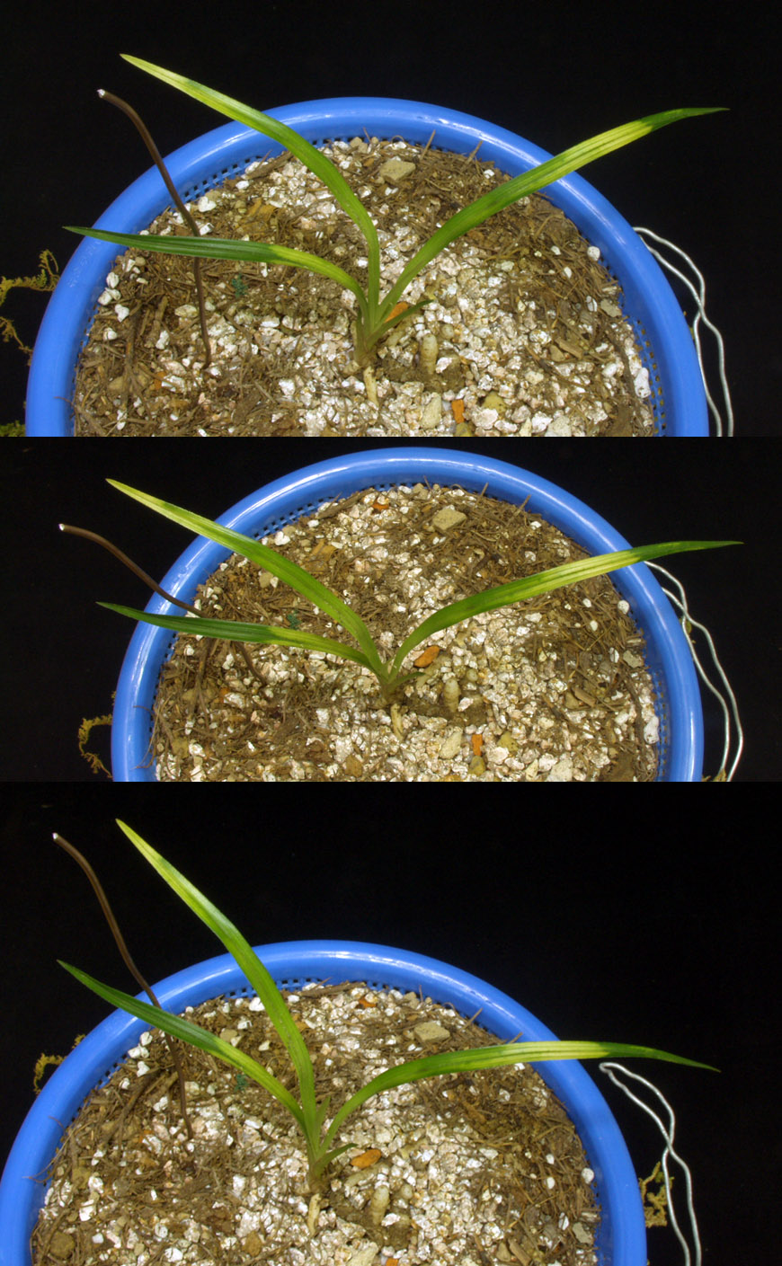 ������ ū������ �� �� �ֽ��ϴ�.