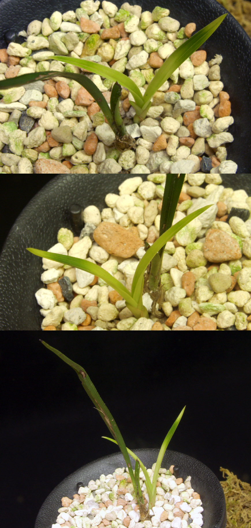 ������ ū������ �� �� �ֽ��ϴ�.