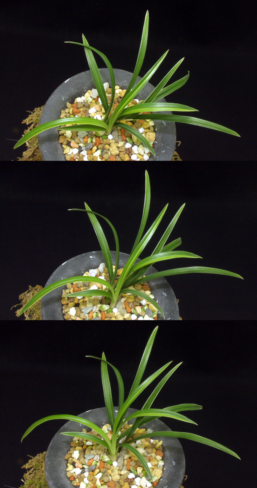 ������ ū������ �� �� �ֽ��ϴ�.