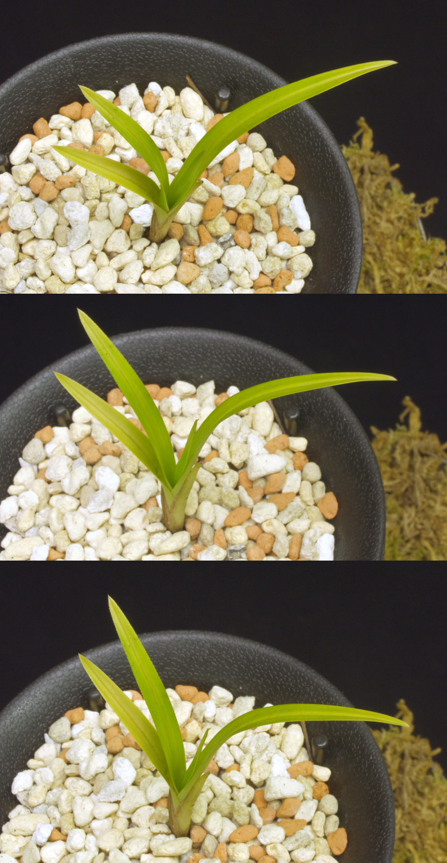 ������ ū������ �� �� �ֽ��ϴ�.