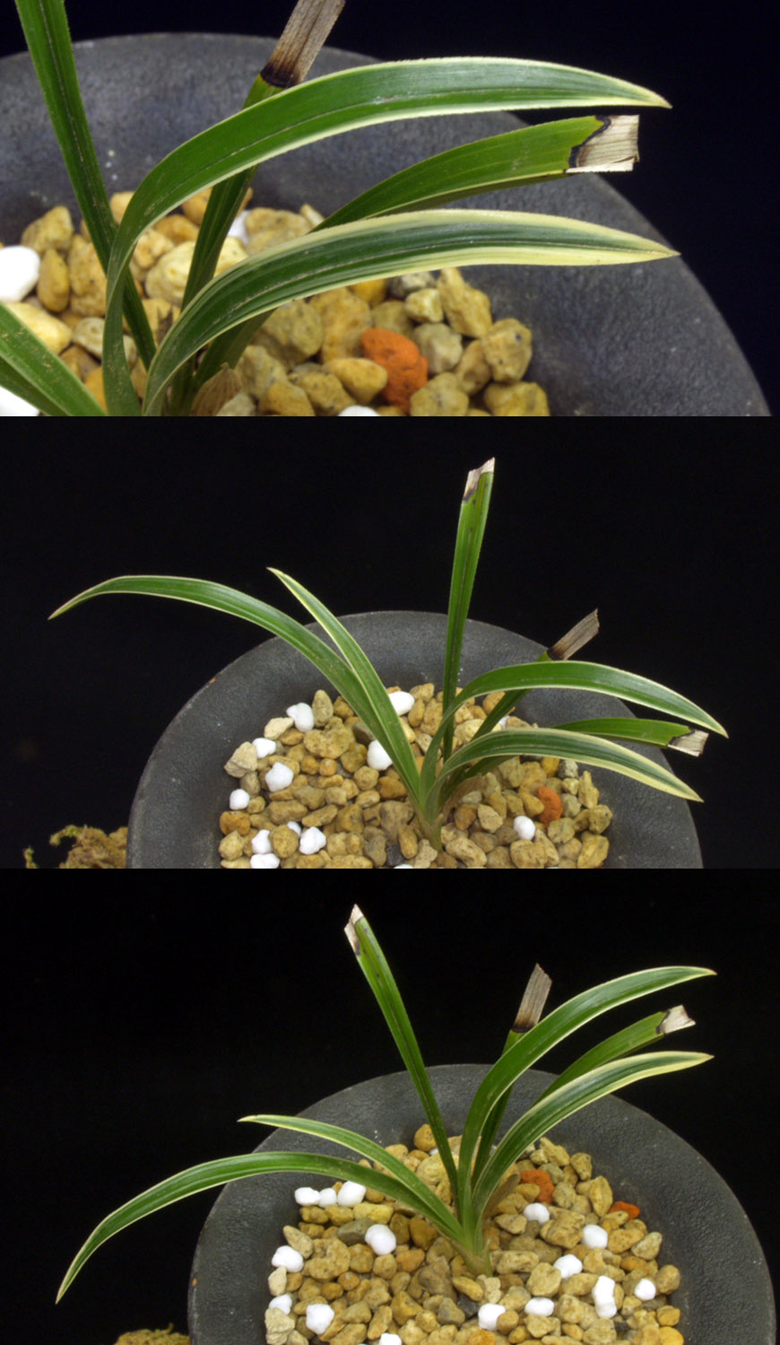 ������ ū������ �� �� �ֽ��ϴ�.