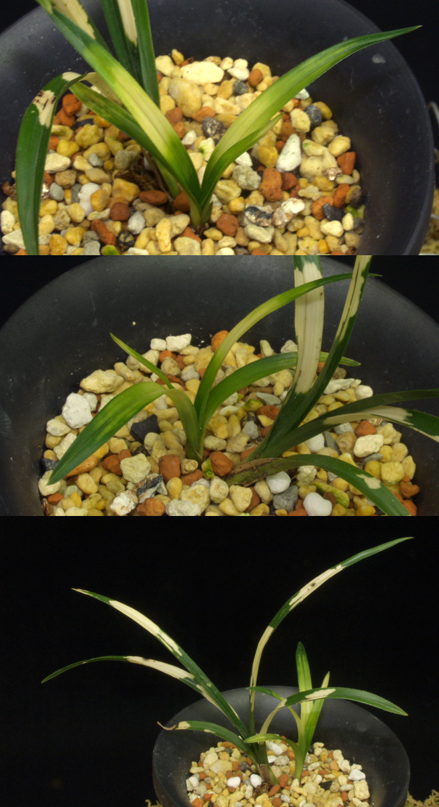 ������ ū������ �� �� �ֽ��ϴ�.