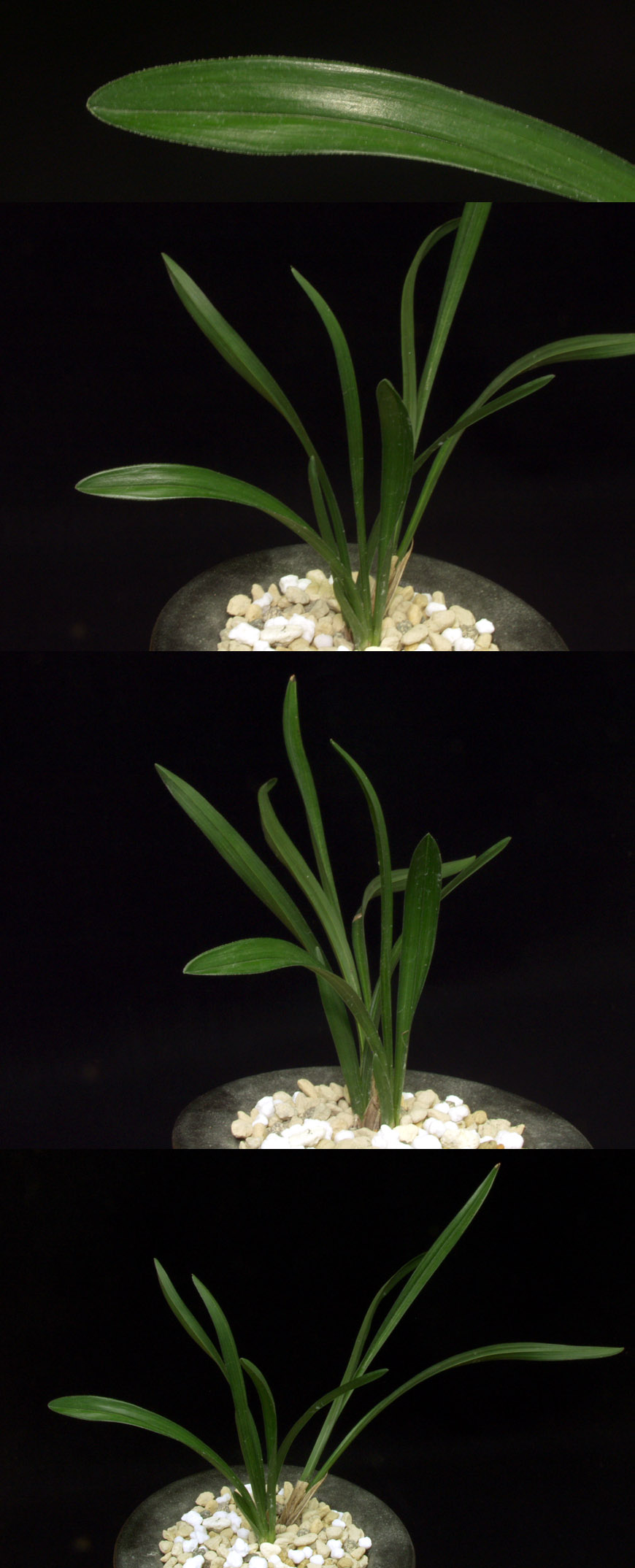 ������ ū������ �� �� �ֽ��ϴ�.