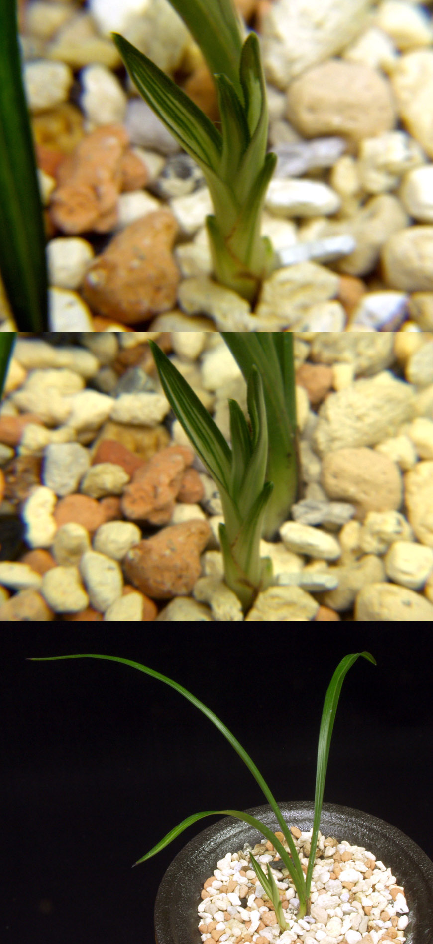 ������ ū������ �� �� �ֽ��ϴ�.