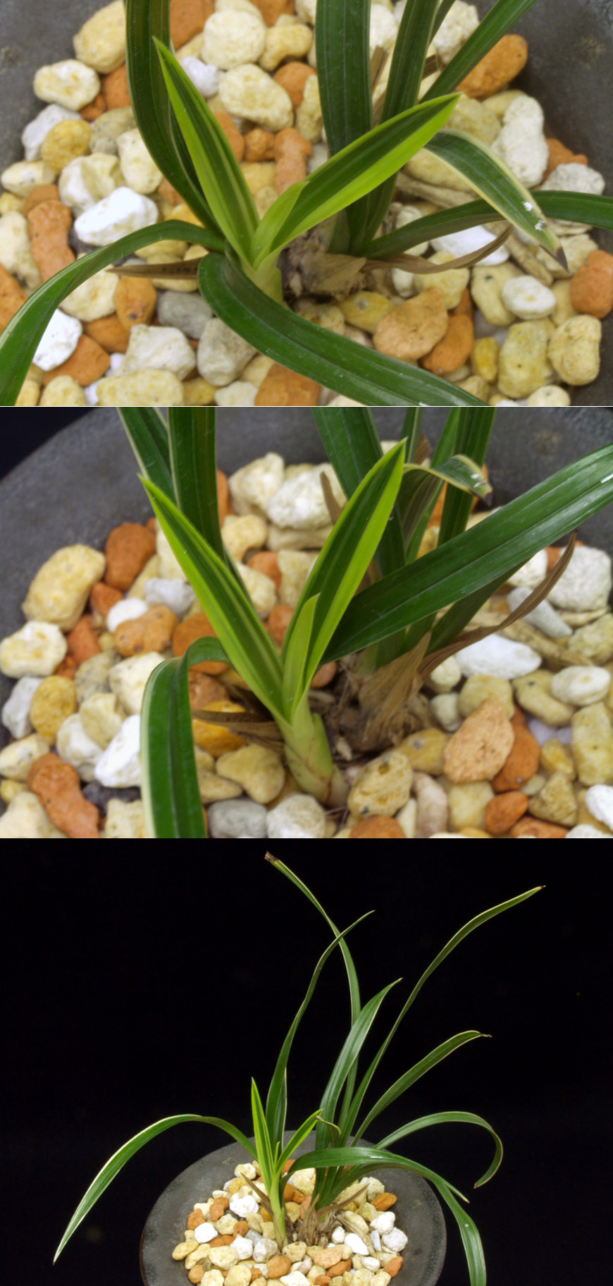 ������ ū������ �� �� �ֽ��ϴ�.