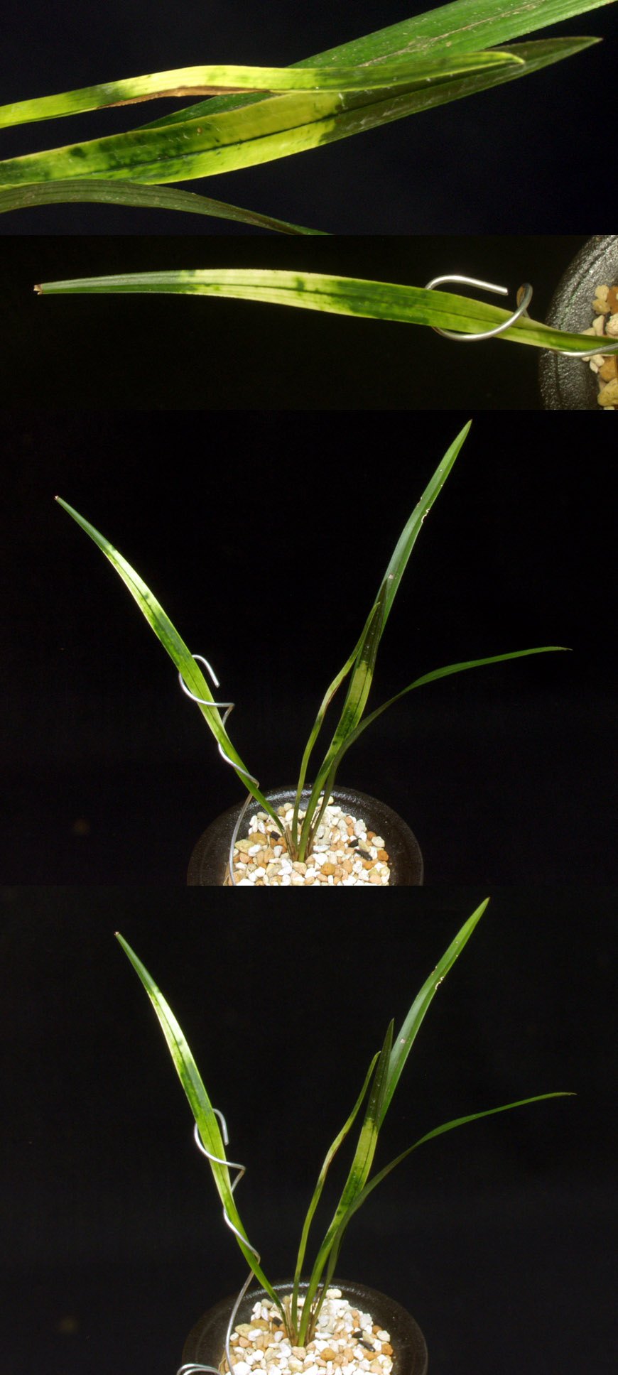 ������ ū������ �� �� �ֽ��ϴ�.