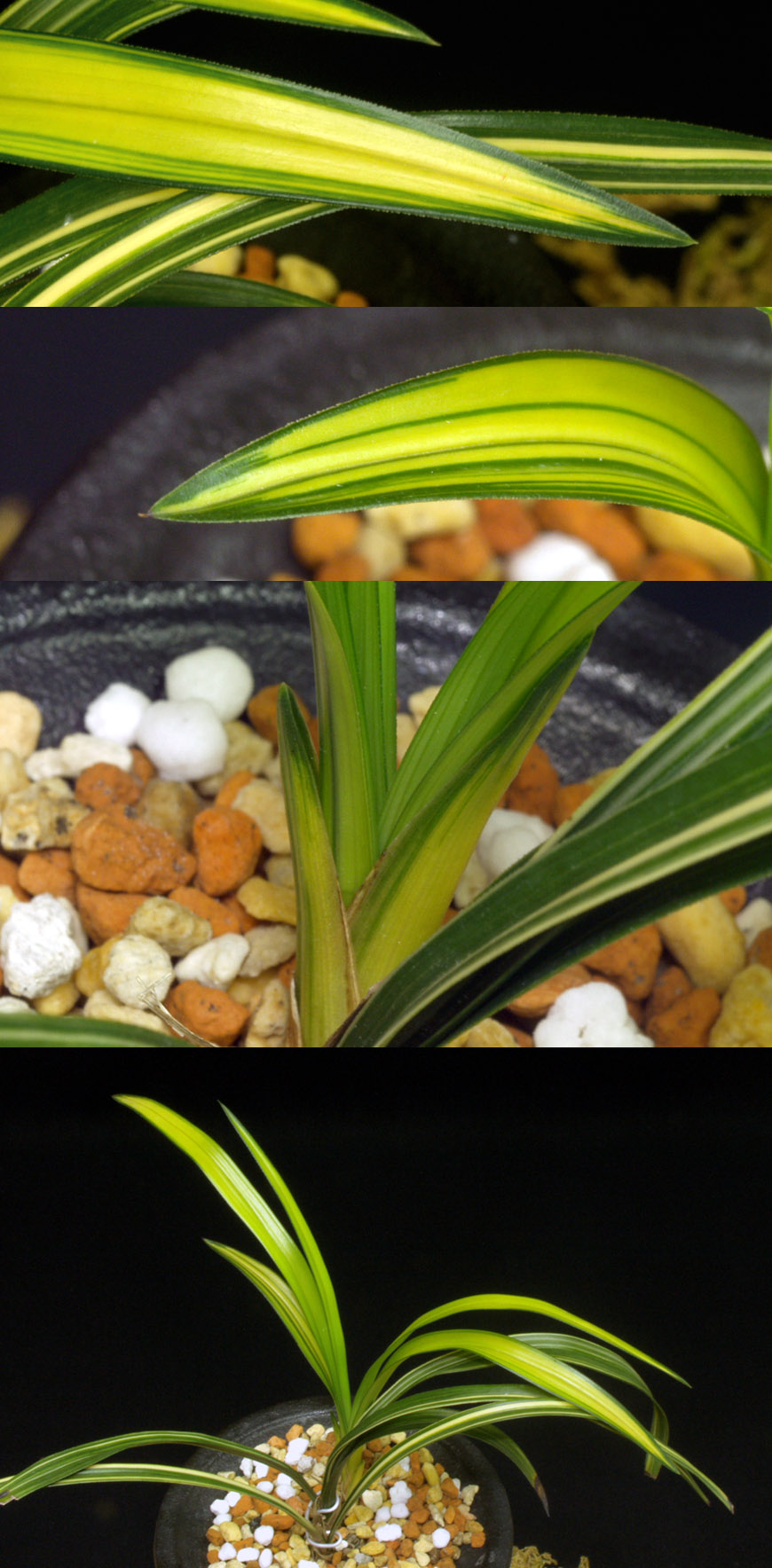 ������ ū������ �� �� �ֽ��ϴ�.