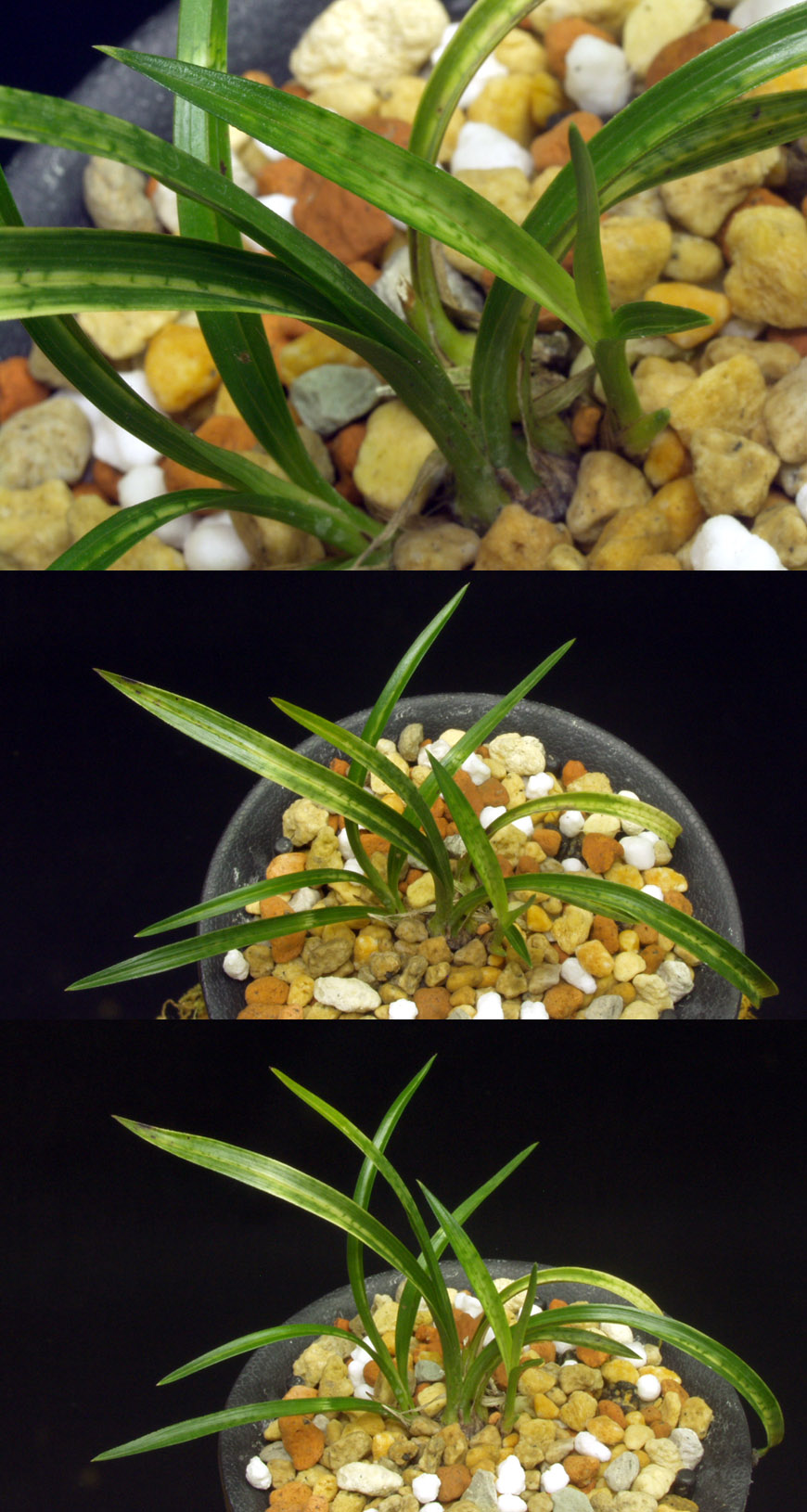 ������ ū������ �� �� �ֽ��ϴ�.