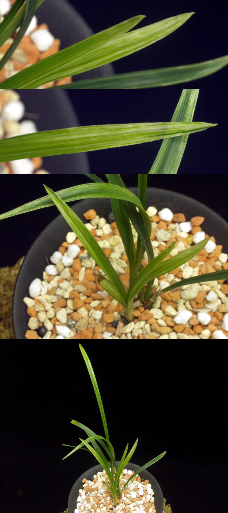 ������ ū������ �� �� �ֽ��ϴ�.