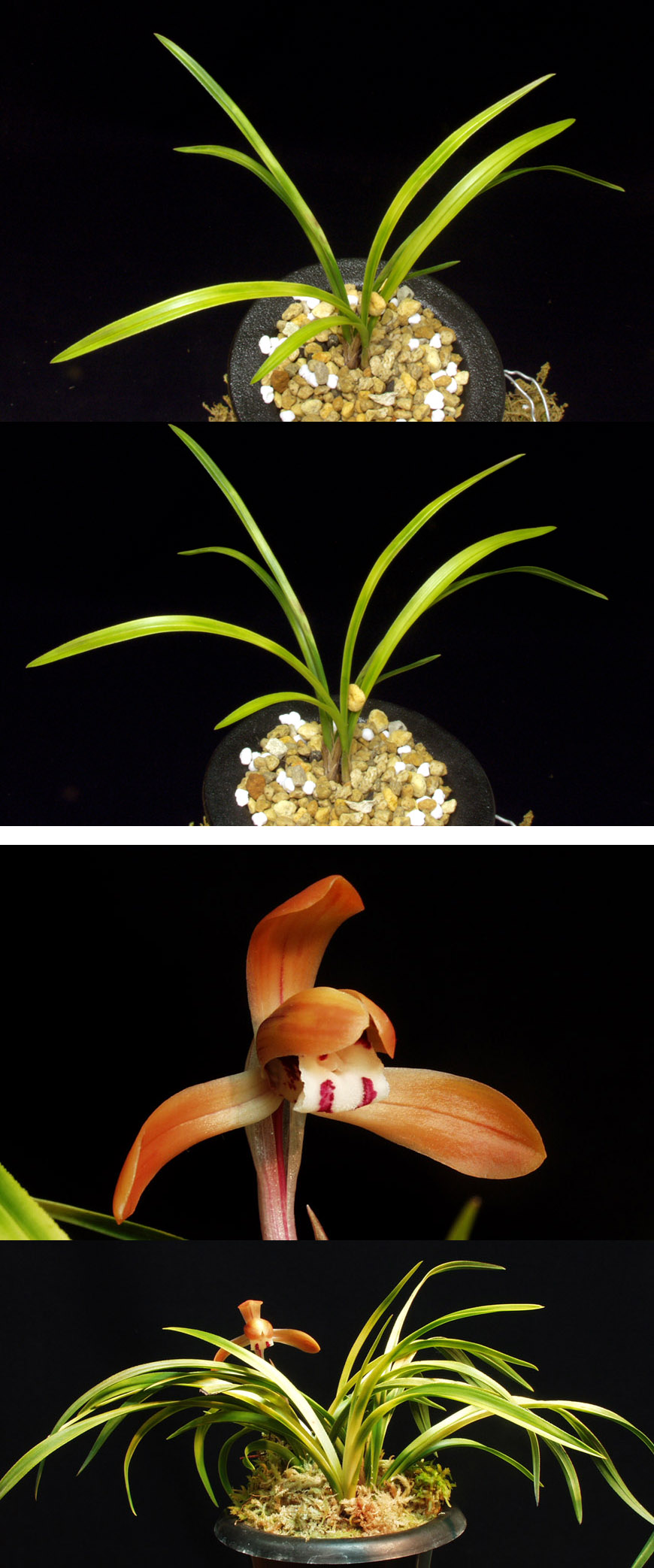 ������ ū������ �� �� �ֽ��ϴ�.