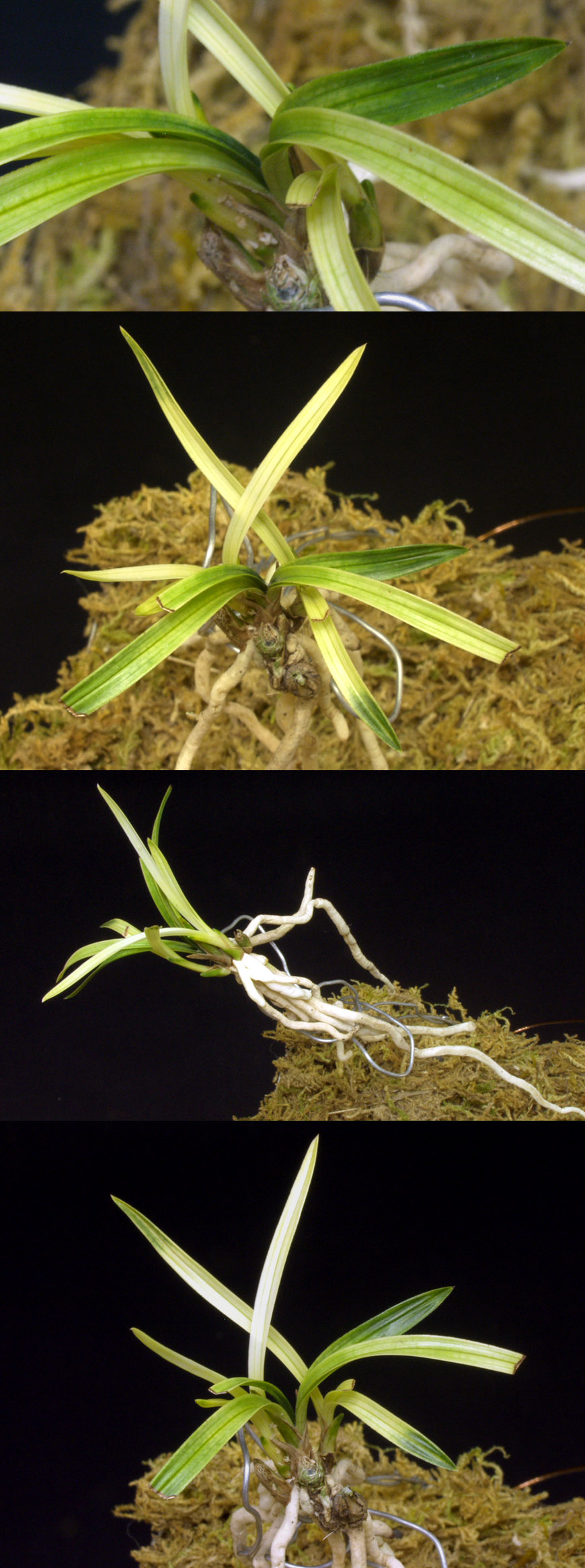 ������ ū������ �� �� �ֽ��ϴ�.