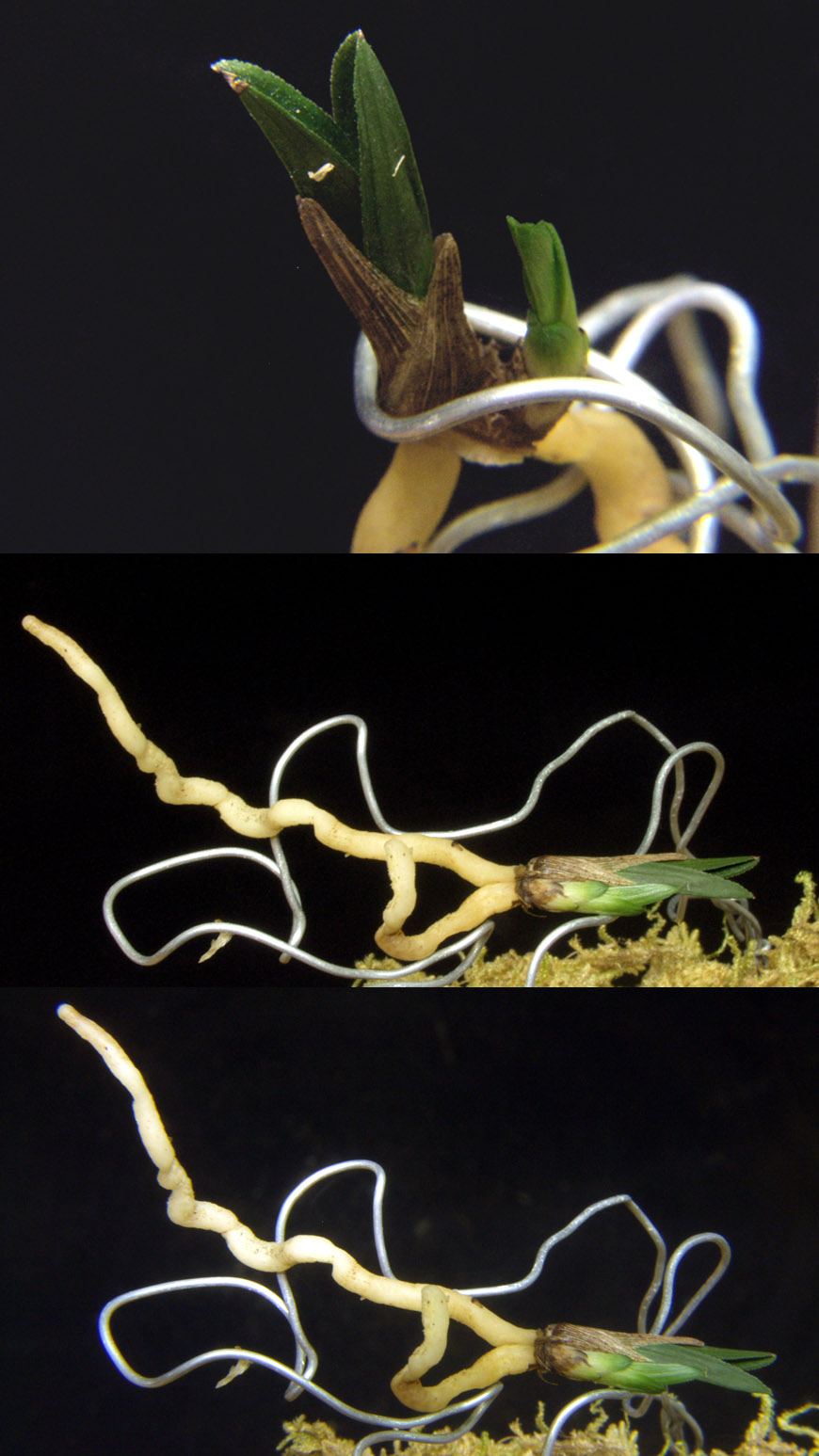 ������ ū������ �� �� �ֽ��ϴ�.